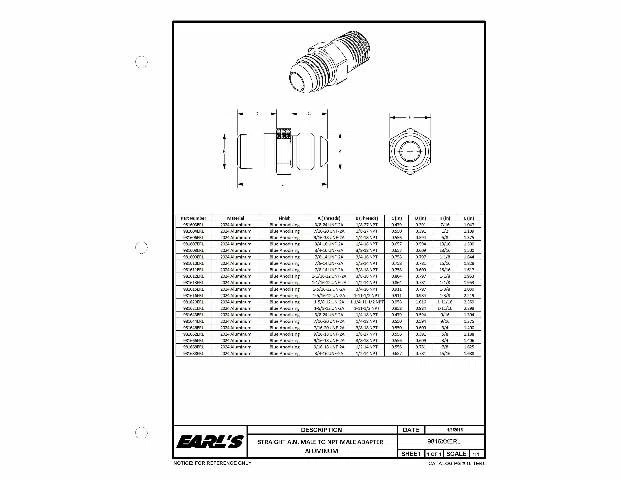 Earls Straight Male AN -10 to 1_2 NPT - 981610ERL